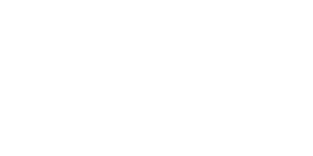 second hype logo transparant white